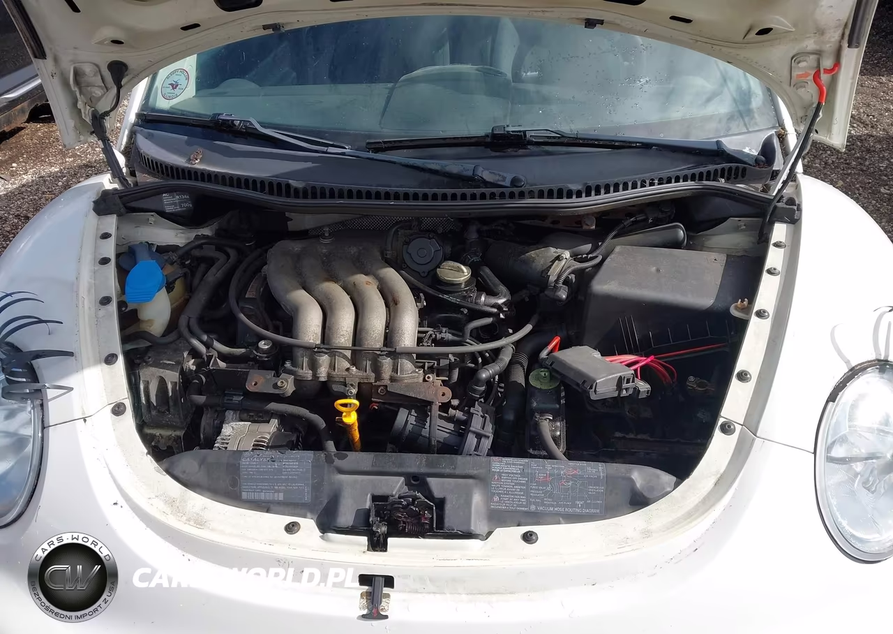 1998 Volkswagen New Beetle VIN:3VWBB61C5WM023937 - 10