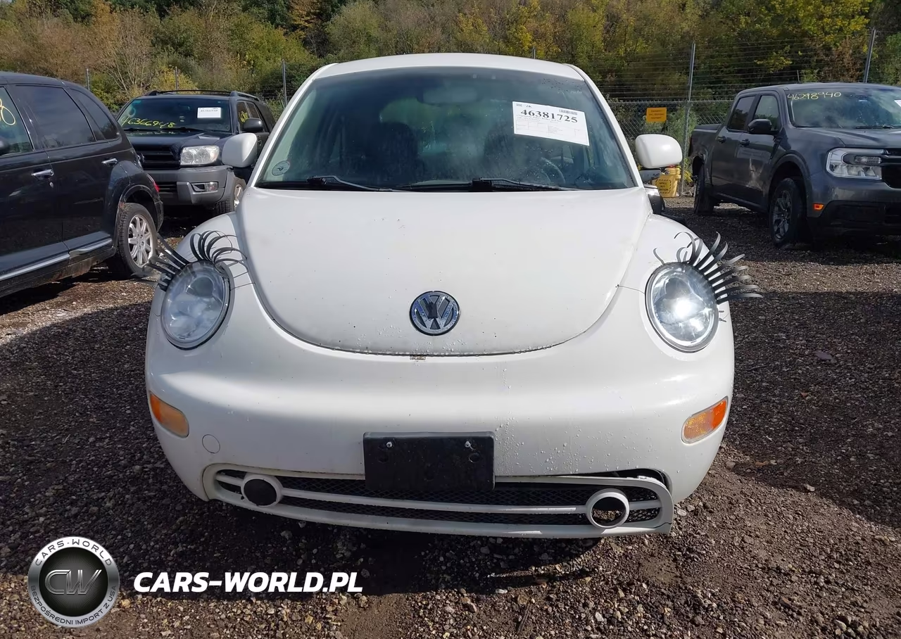 1998 Volkswagen New Beetle VIN:3VWBB61C5WM023937 - 12