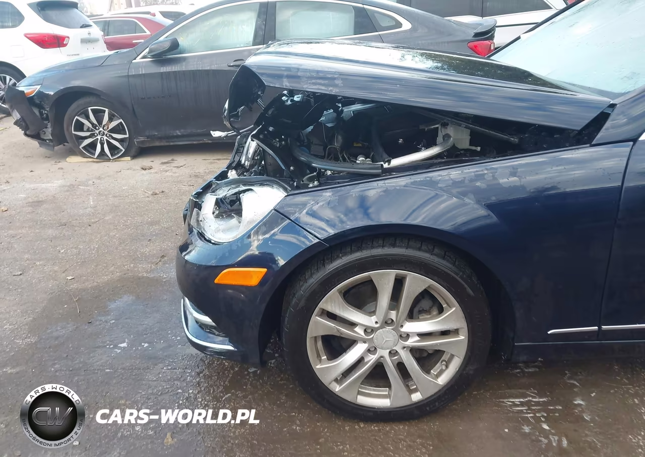 2012 Mercedes-Benz C 300 Luxury 4Matic VIN:WDDGF8BB2CA716798 - 17