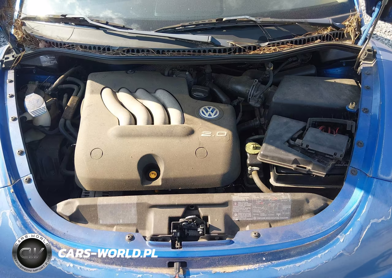 1998 Volkswagen New Beetle VIN:3VWBB61CXWM042614 - 10