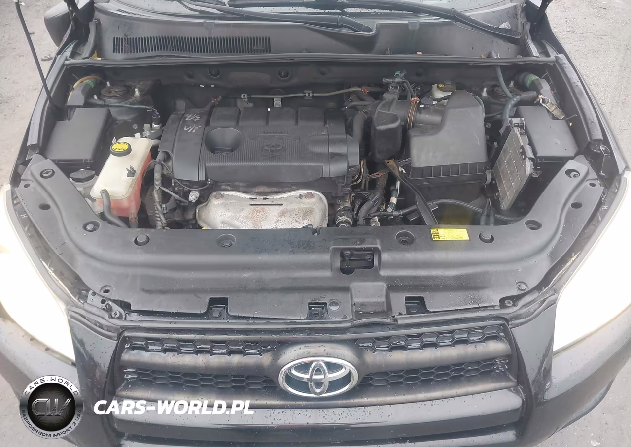 2009 Toyota Rav4 VIN:JTMBF33V29D020286 - 10