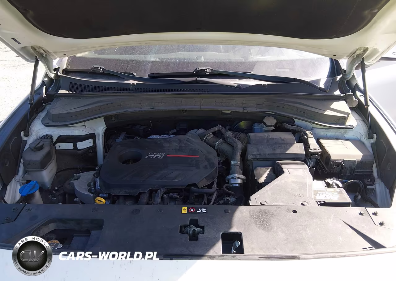 2019 Hyundai Santa Fe Ultimate 2.0T VIN:5NMS53AA1KH121075 - 10