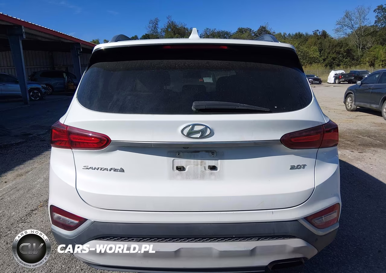 2019 Hyundai Santa Fe Ultimate 2.0T VIN:5NMS53AA1KH121075 - 16