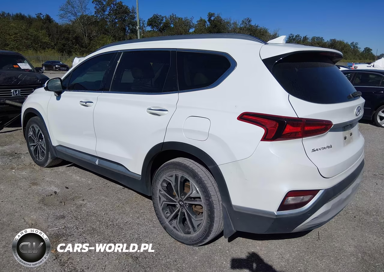 2019 Hyundai Santa Fe Ultimate 2.0T VIN:5NMS53AA1KH121075 - 3