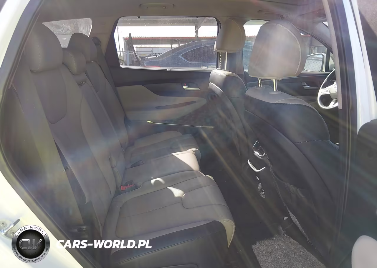 2019 Hyundai Santa Fe Ultimate 2.0T VIN:5NMS53AA1KH121075 - 8