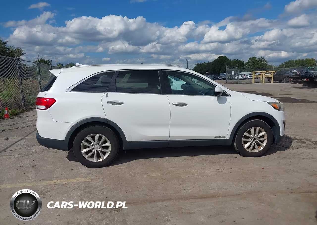 2016 Kia Sorento 3.3L Lx VIN:5XYPGDA52GG043285 - 13