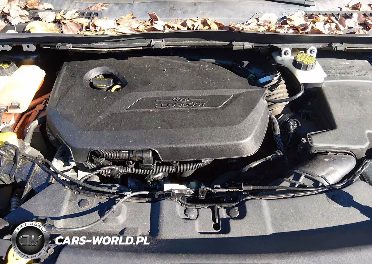 2015 Ford Escape Se VIN:1FMCU9GX4FUA14070 - 10