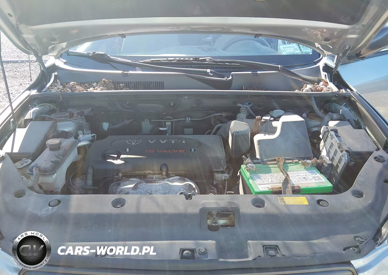 2008 Toyota Rav4 VIN:JTMBD33VX86075481 - 10
