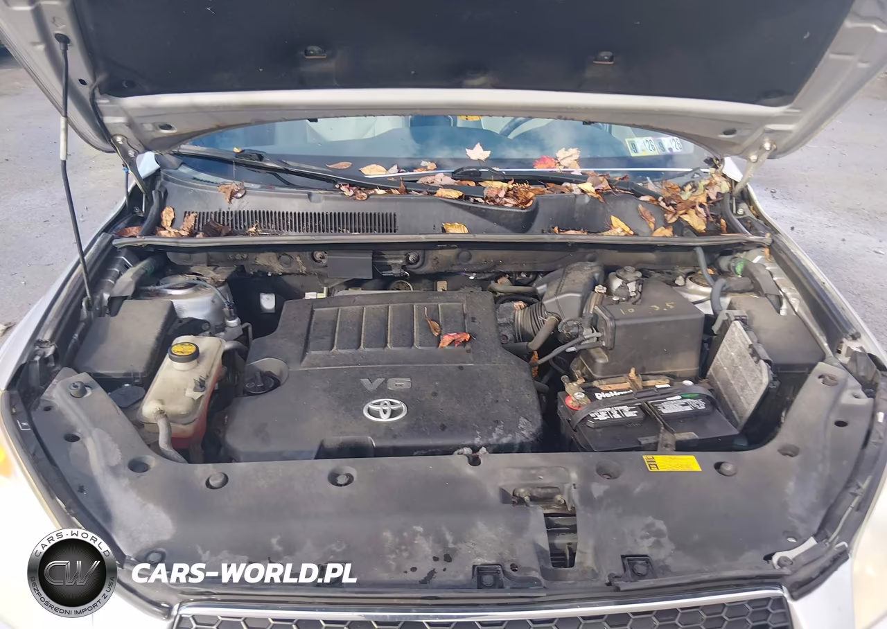 2010 Toyota Rav4 Limited V6 VIN:2T3DK4DV9AW016994 - 10