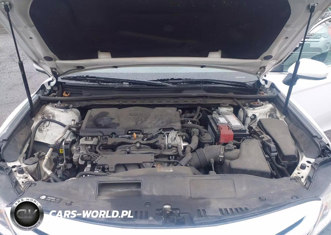 2020 Toyota Camry Se VIN:4T1G11AK3LU902569 - 10