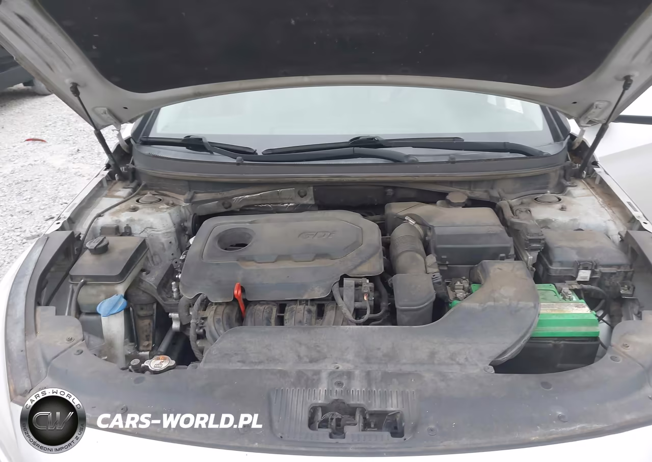 2015 Hyundai Sonata Se VIN:5NPE24AF1FH058866 - 10