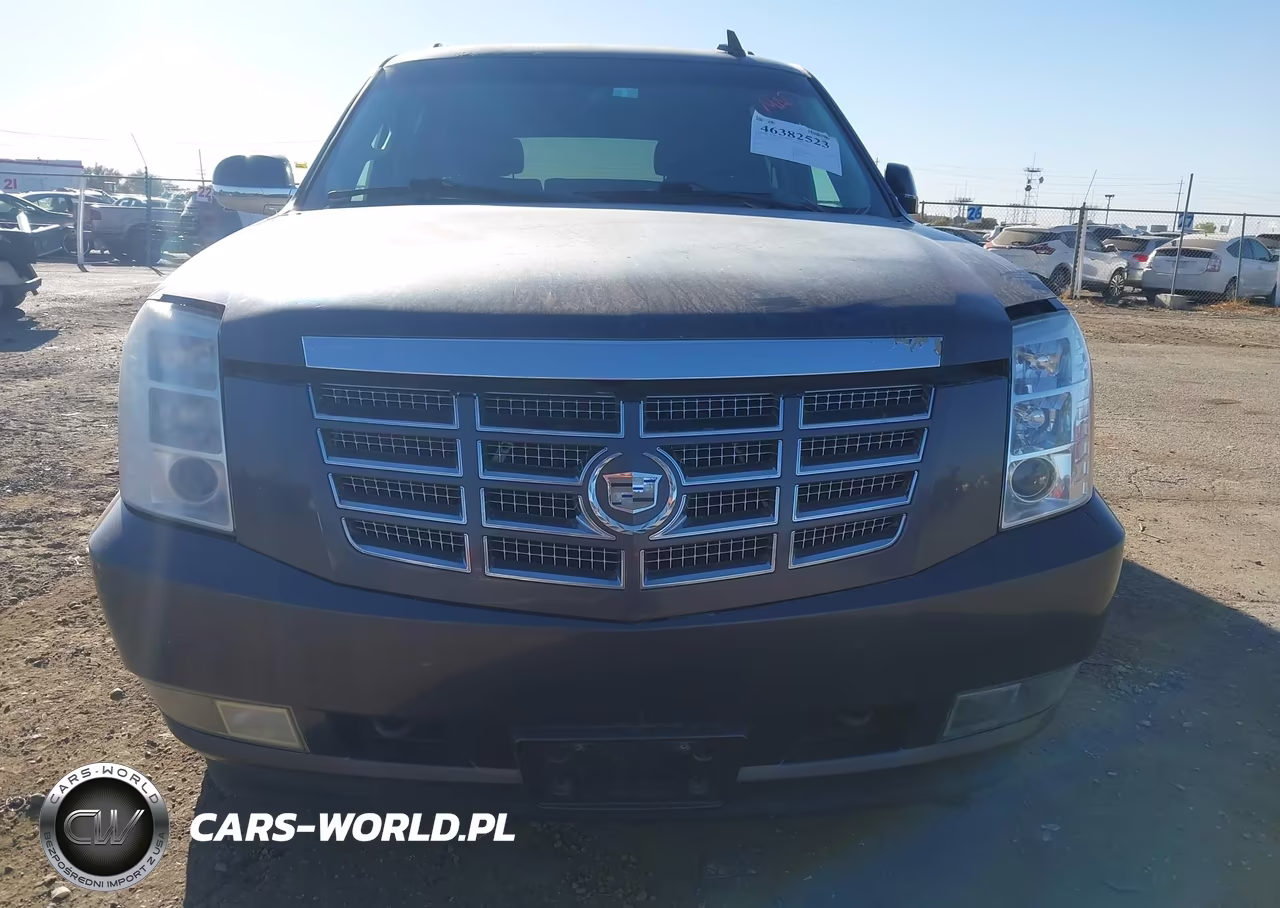 2010 Cadillac Escalade Esv Premium VIN:1GYUKJEF0AR249095 - 12
