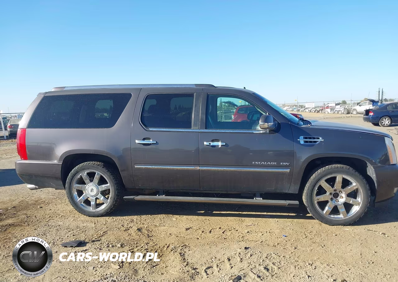 2010 Cadillac Escalade Esv Premium VIN:1GYUKJEF0AR249095 - 13