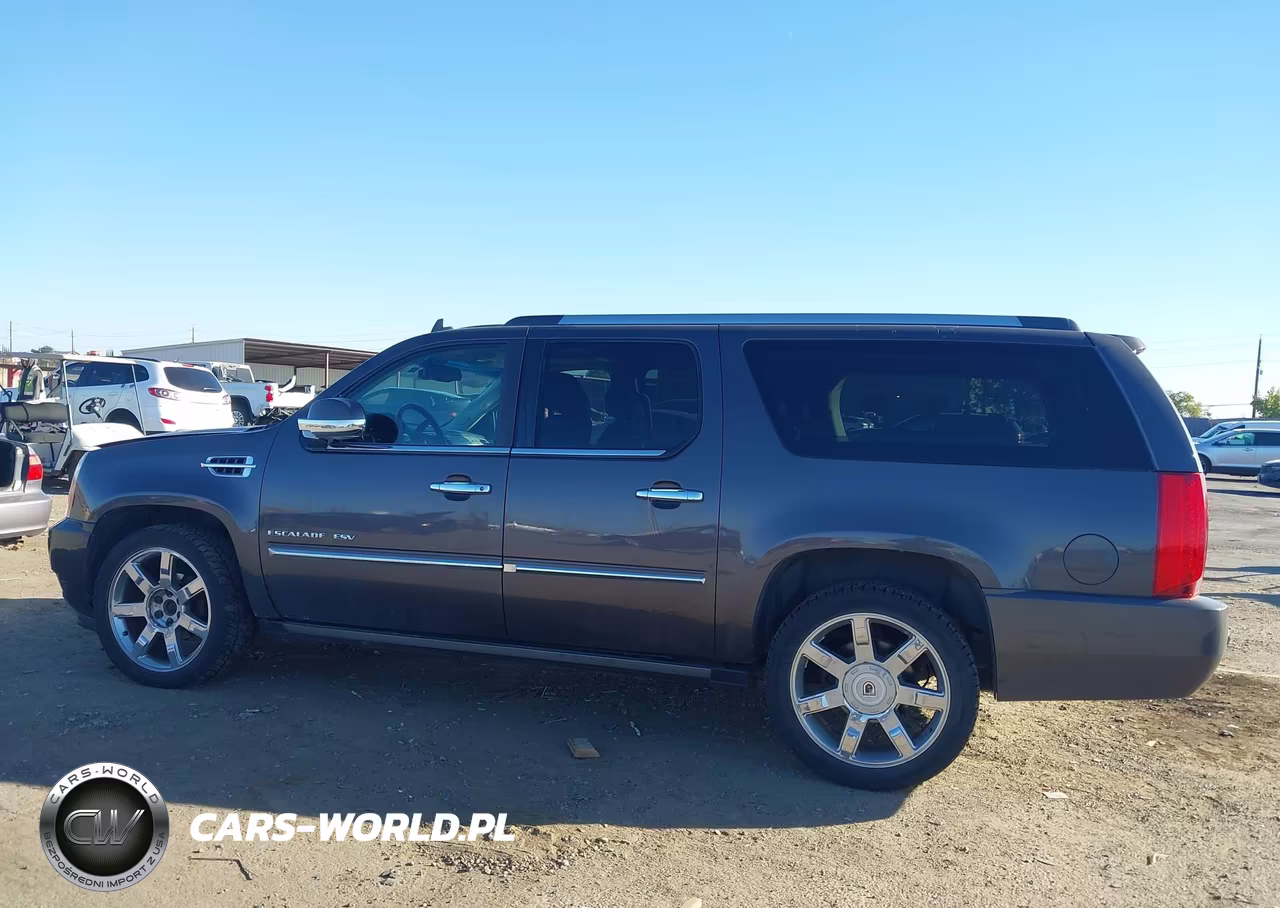 2010 Cadillac Escalade Esv Premium VIN:1GYUKJEF0AR249095 - 14