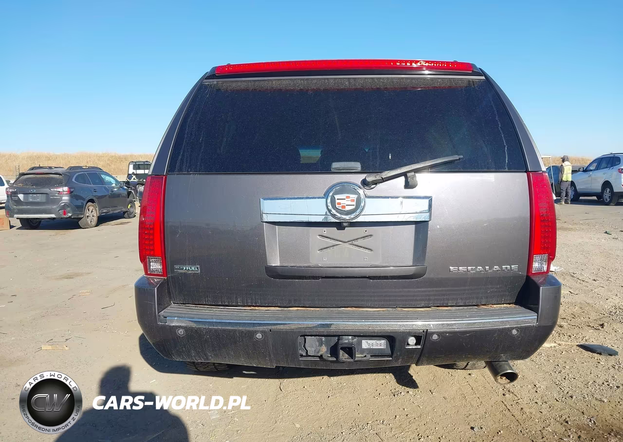 2010 Cadillac Escalade Esv Premium VIN:1GYUKJEF0AR249095 - 16