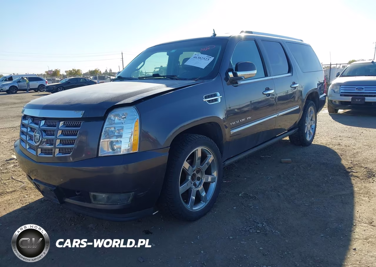 2010 Cadillac Escalade Esv Premium VIN:1GYUKJEF0AR249095 - 2