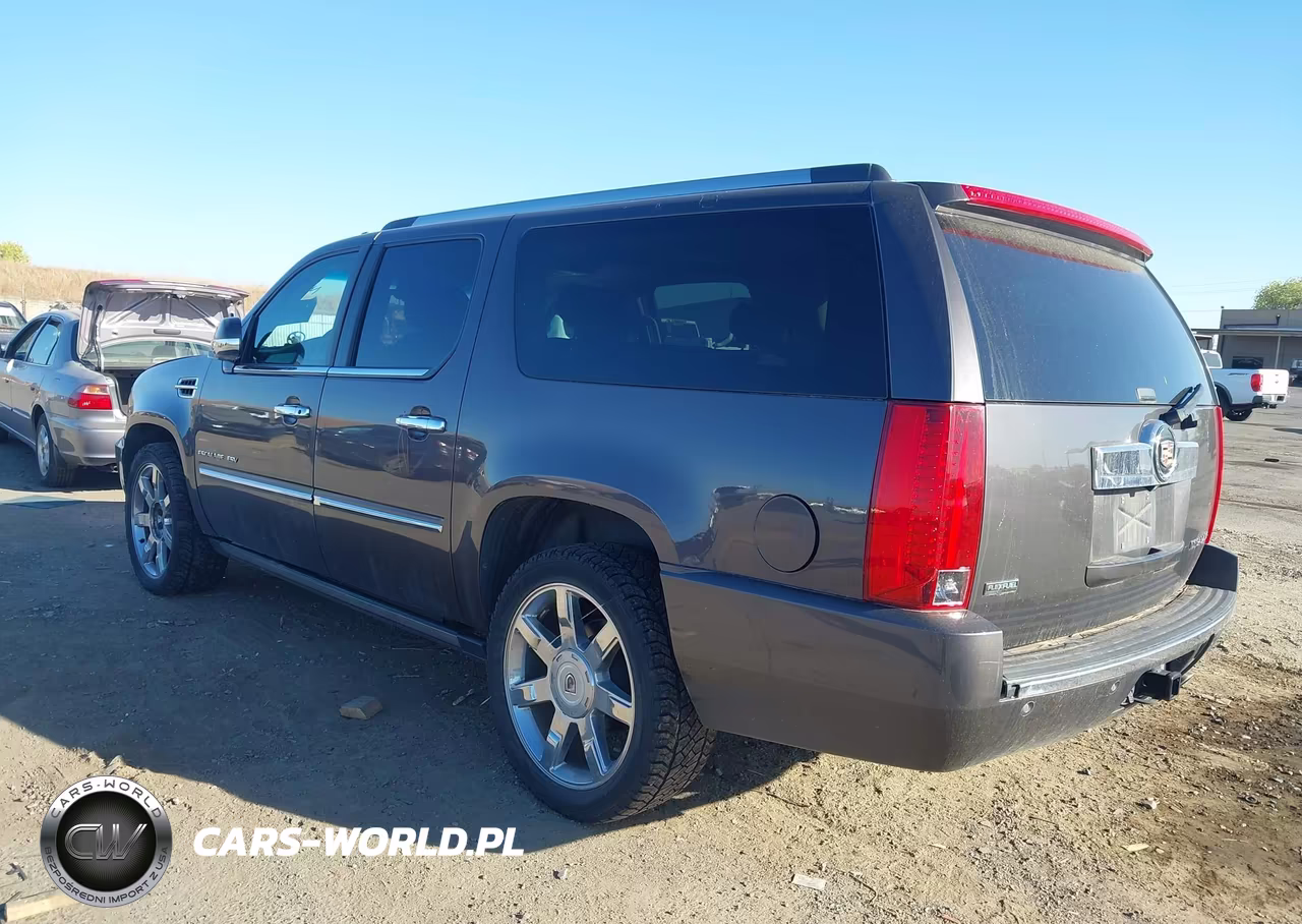 2010 Cadillac Escalade Esv Premium VIN:1GYUKJEF0AR249095 - 3