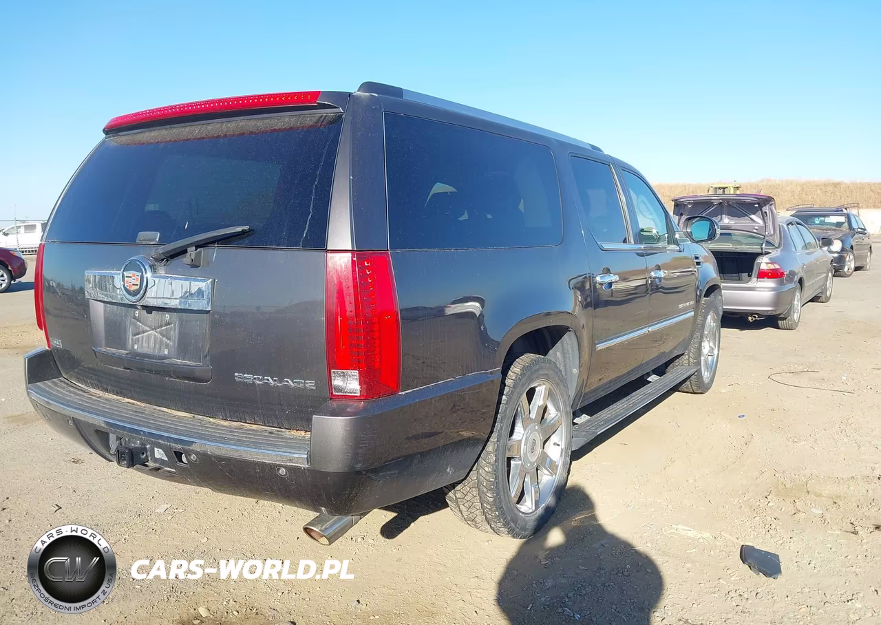 2010 Cadillac Escalade Esv Premium VIN:1GYUKJEF0AR249095 - 4