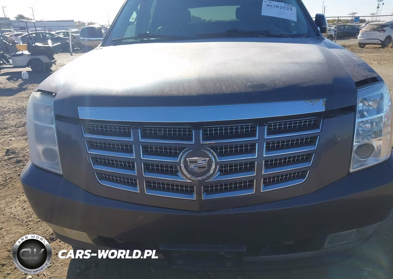 2010 Cadillac Escalade Esv Premium VIN:1GYUKJEF0AR249095 - 6