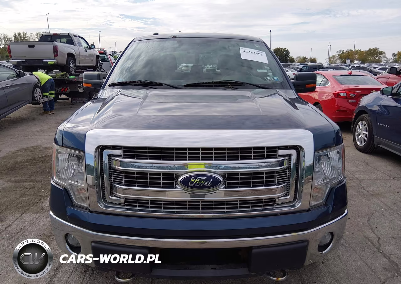 2013 Ford F-150 Xlt VIN:1FTFW1EF6DFB50967 - 12