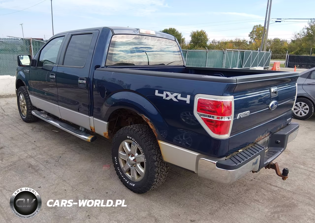 2013 Ford F-150 Xlt VIN:1FTFW1EF6DFB50967 - 3
