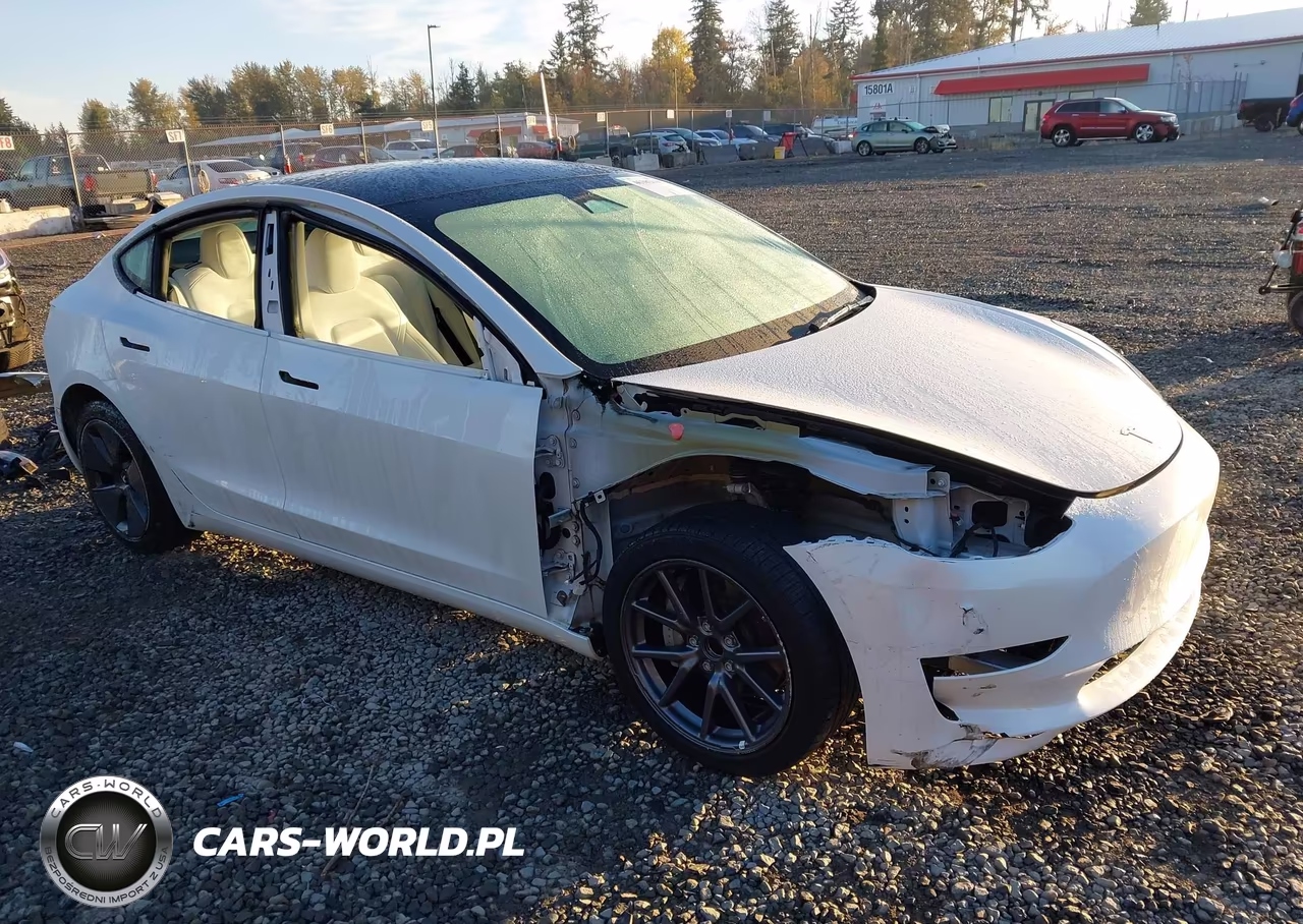 2023 Tesla Model 3 Rear-Wheel Drive