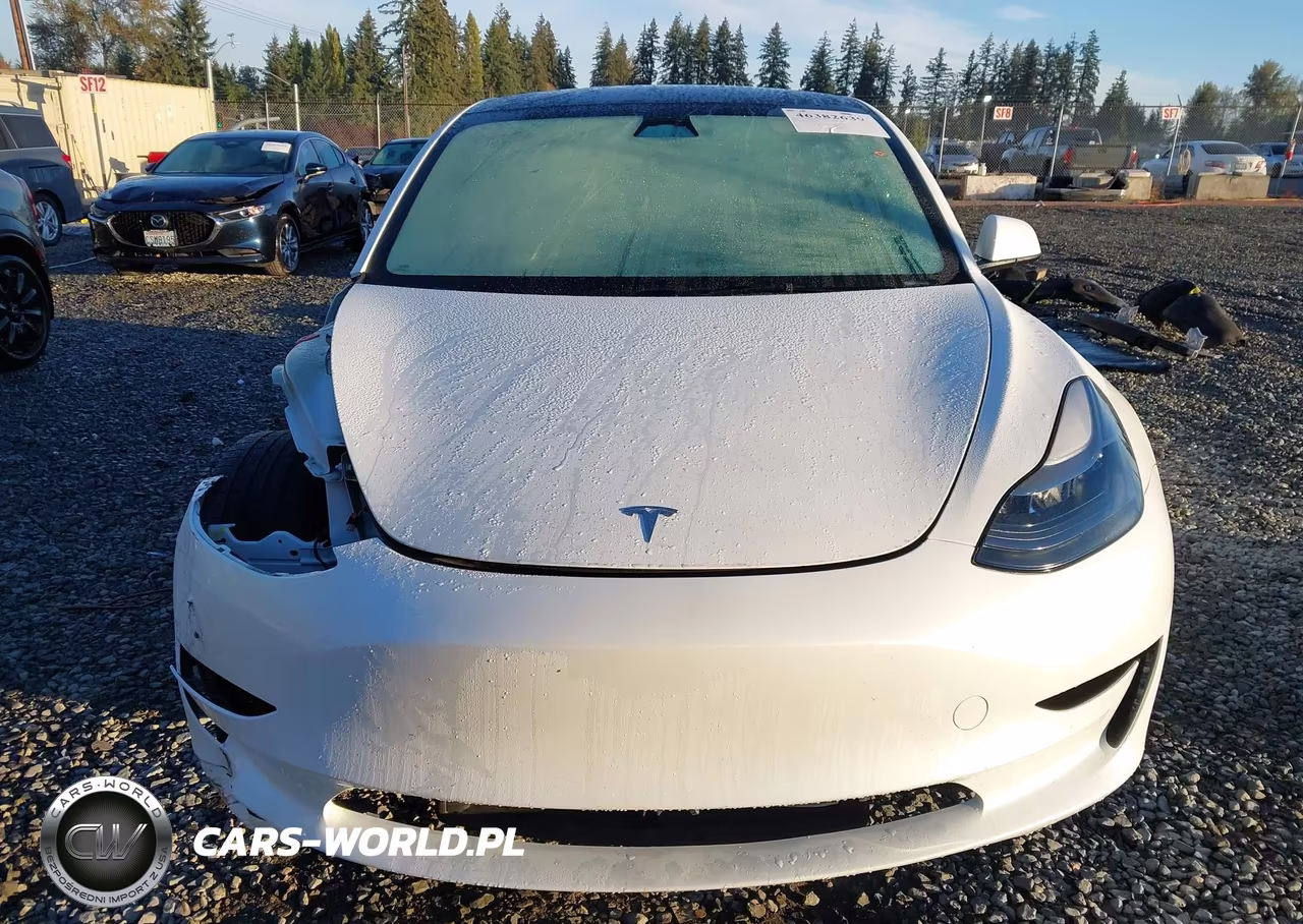 2023 Tesla Model 3 Rear-Wheel Drive VIN:5YJ3E1EA3PF507847 - 12