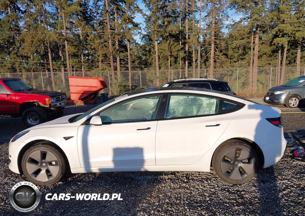 2023 Tesla Model 3 Rear-Wheel Drive VIN:5YJ3E1EA3PF507847 - 14