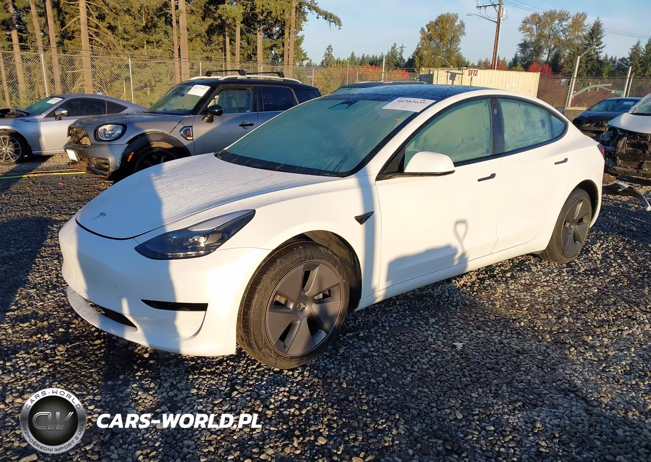 2023 Tesla Model 3 Rear-Wheel Drive VIN:5YJ3E1EA3PF507847 - 2