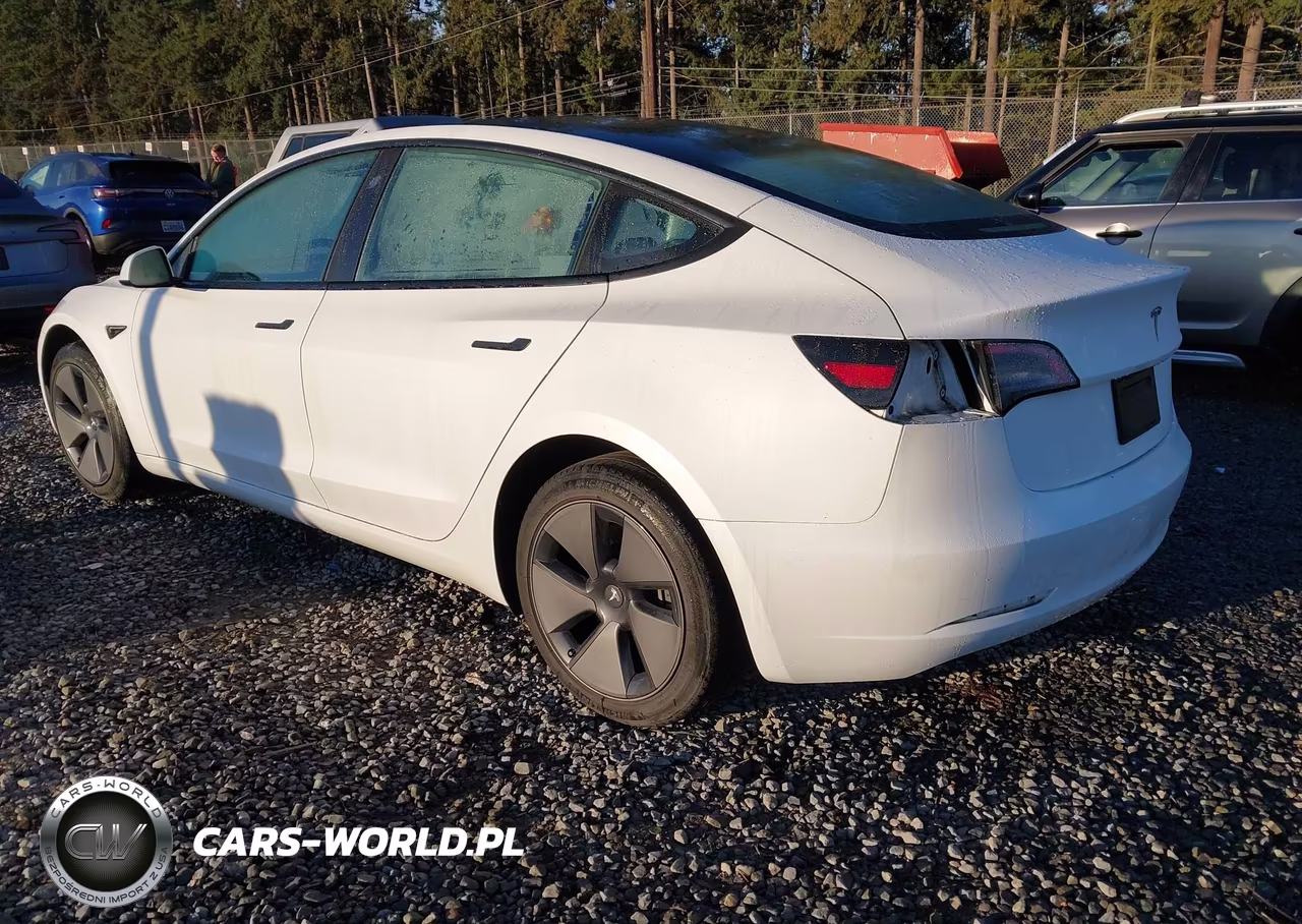 2023 Tesla Model 3 Rear-Wheel Drive VIN:5YJ3E1EA3PF507847 - 3