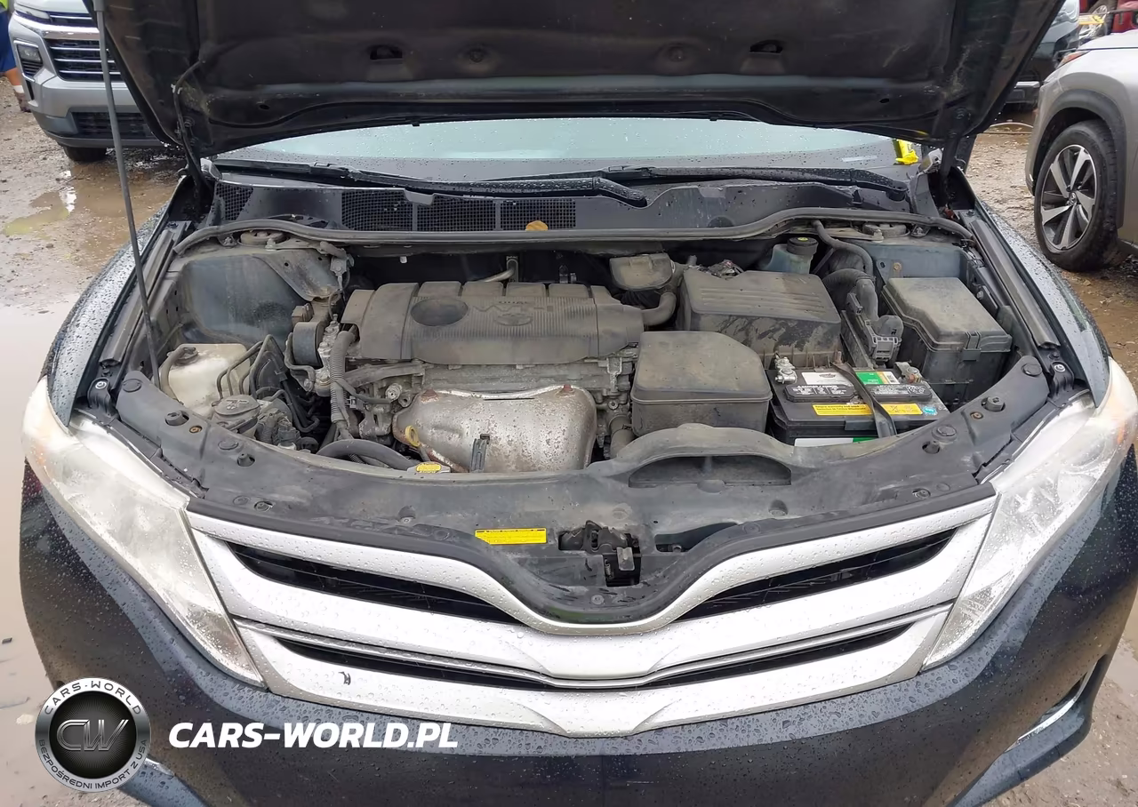 2015 Toyota Venza Xle VIN:4T3ZA3BB5FU095843 - 10