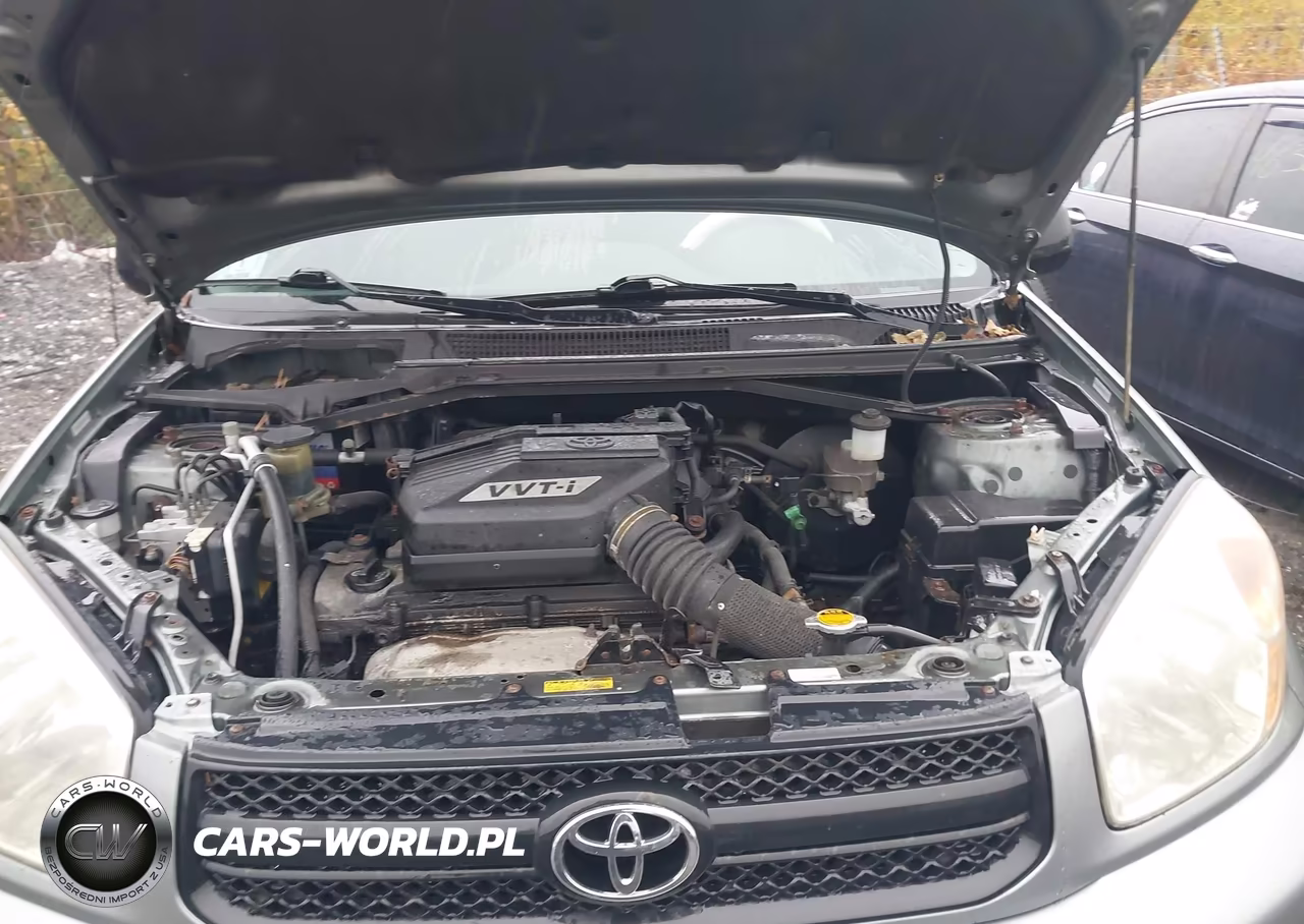 2004 Toyota Rav4 VIN:JTEHD20V340014703 - 10