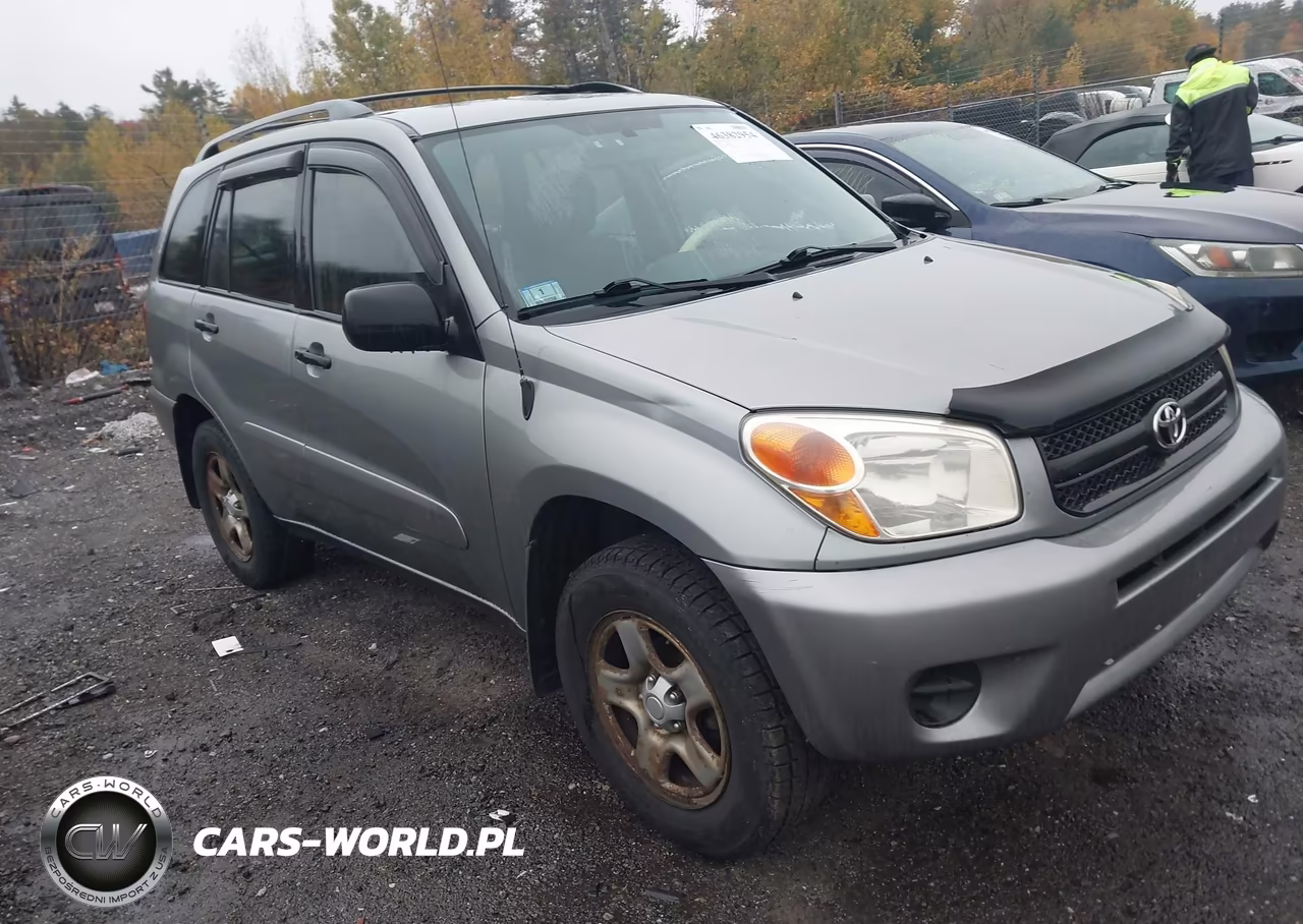 2004 Toyota Rav4 VIN:JTEHD20V340014703 - 6