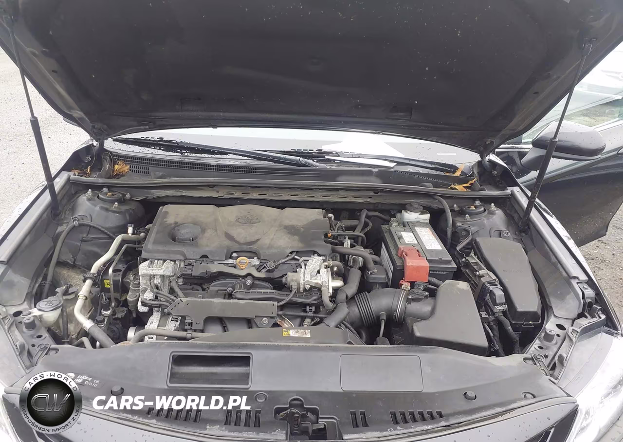 2020 Toyota Camry Se VIN:4T1G11AK8LU880116 - 10