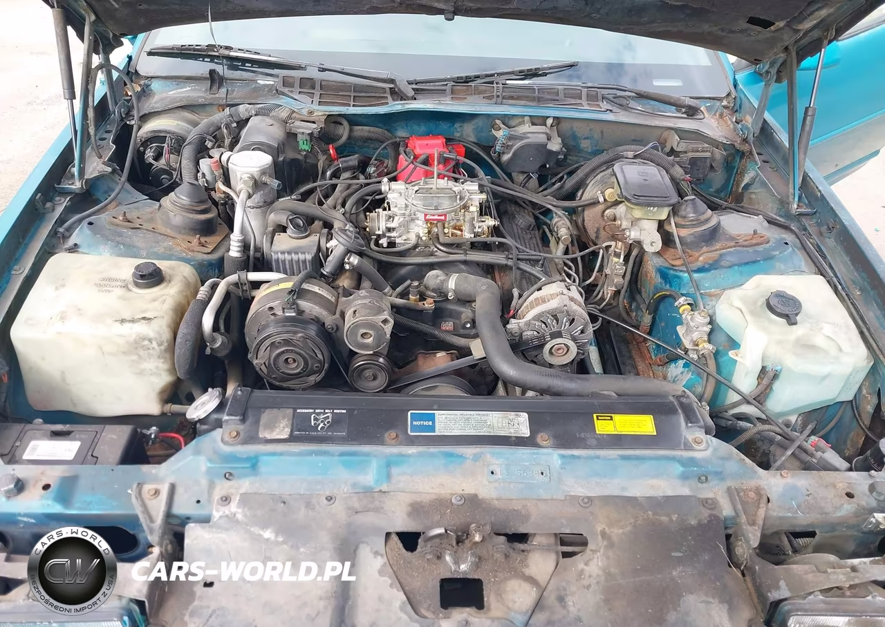 1991 Chevrolet Camaro Rs VIN:1G1FP23EXML189004 - 10