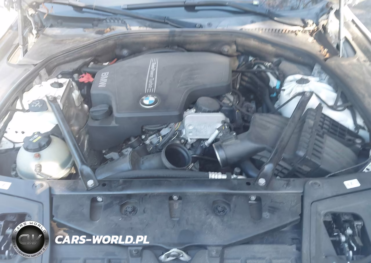 2015 BMW 528I xDrive VIN:WBA5A7C52FD628532 - 10