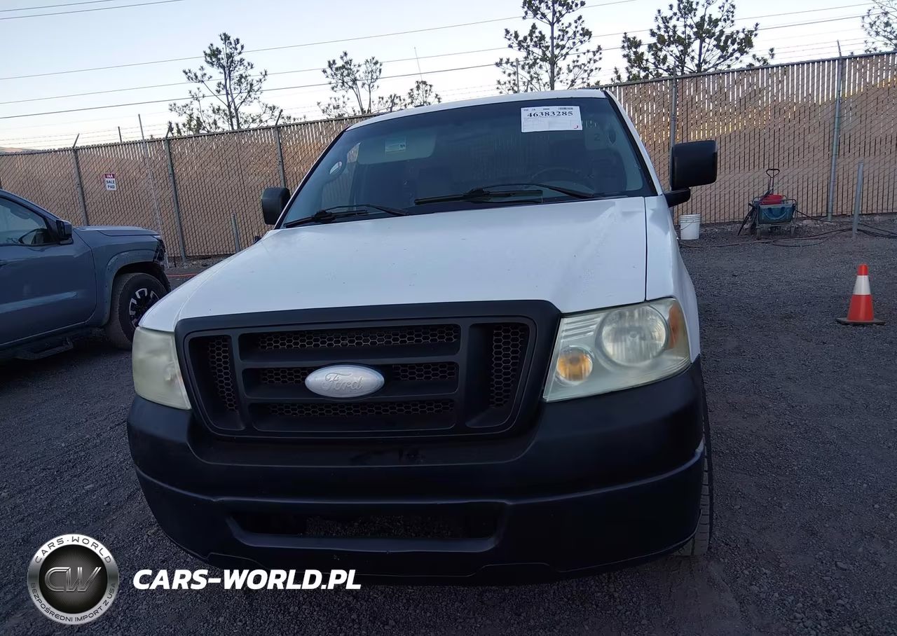 2006 Ford F-150 Stx-Xl-Xlt VIN:1FTRF12246NA91764 - 12