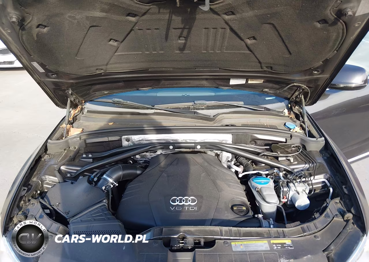 2015 Audi Q5 3.0 Tdi Premium Plus VIN:WA1CMAFP5FA103617 - 10