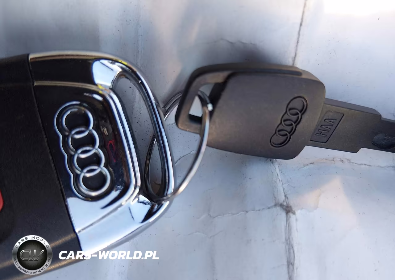 2015 Audi Q5 3.0 Tdi Premium Plus VIN:WA1CMAFP5FA103617 - 11