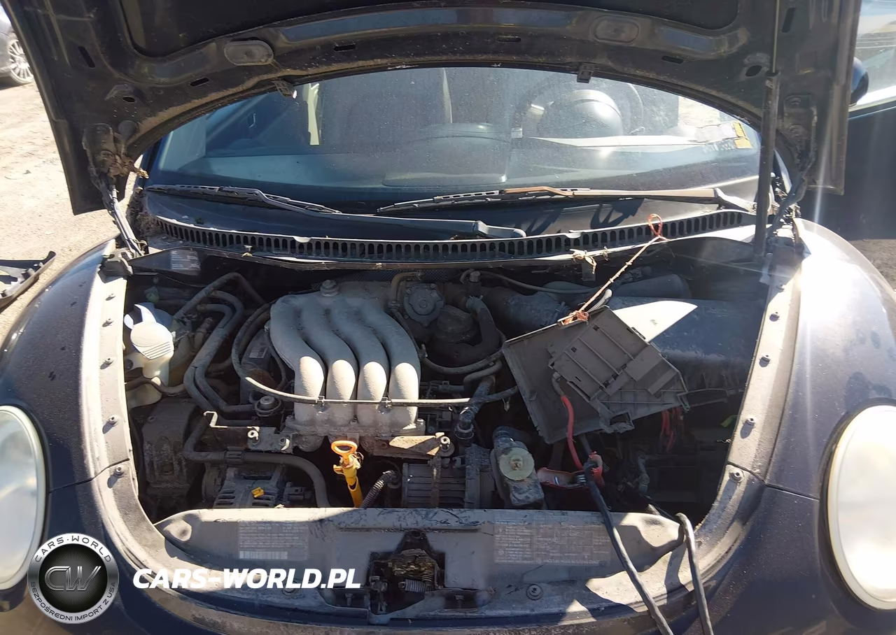 2000 Volkswagen New Beetle Gls VIN:3VWCC21C8YM487415 - 10