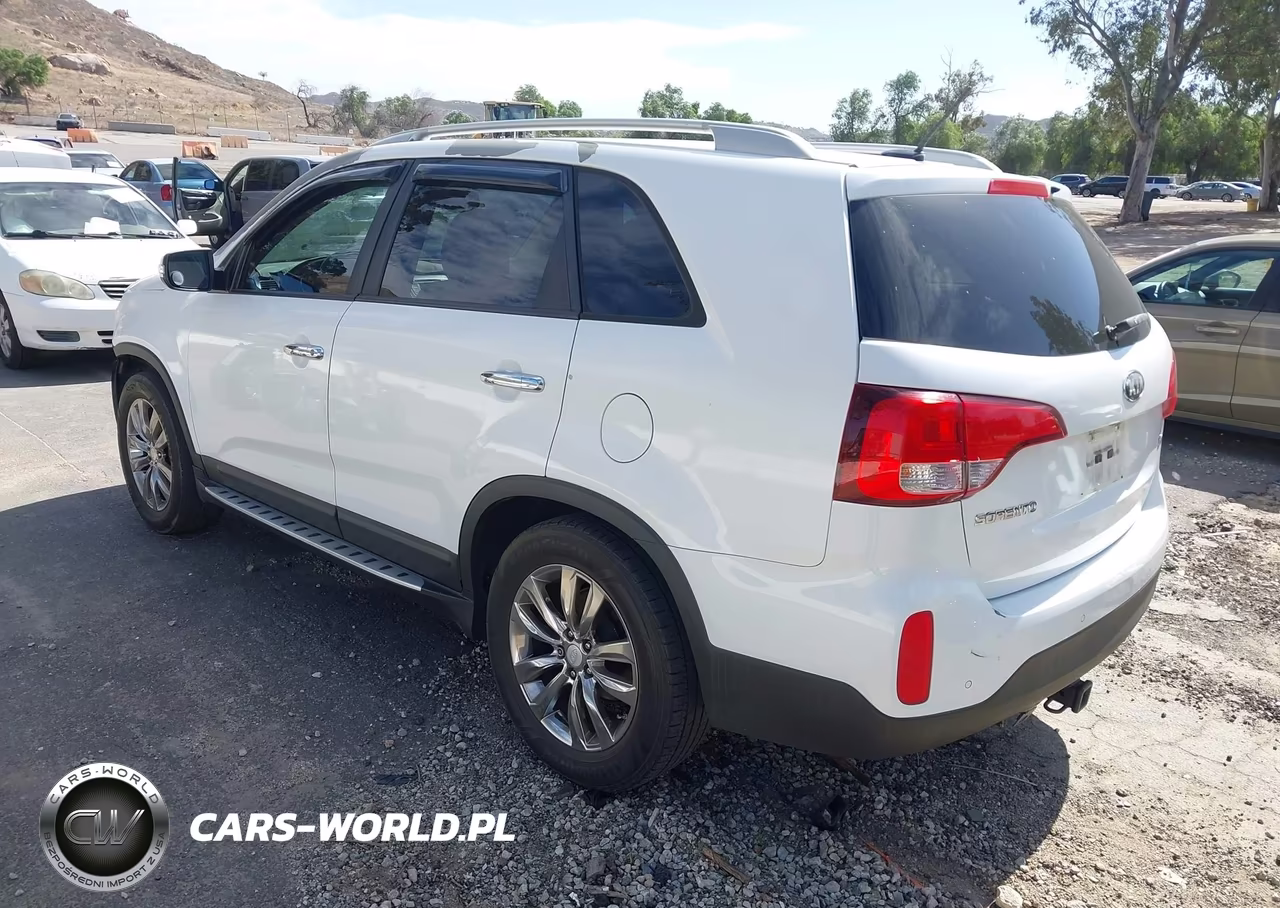 2014 Kia Sorento Lx VIN:5XYKT3A64EG451731 - 3