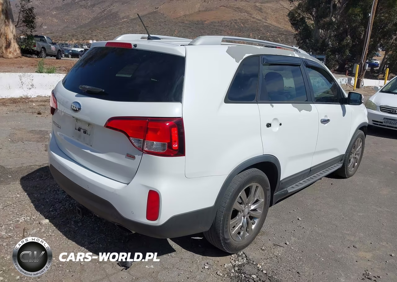 2014 Kia Sorento Lx VIN:5XYKT3A64EG451731 - 4