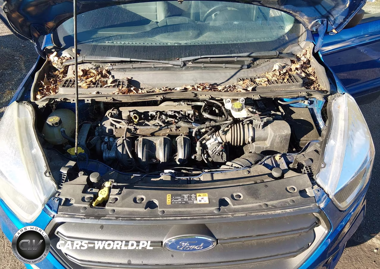 2017 Ford Escape S VIN:1FMCU0F74HUE83983 - 10