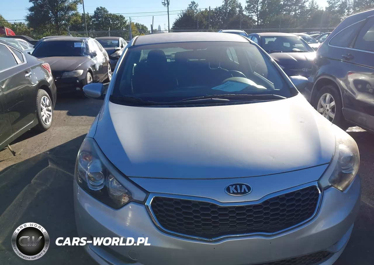2014 Kia Forte Lx VIN:KNAFK4A68E5148659 - 6