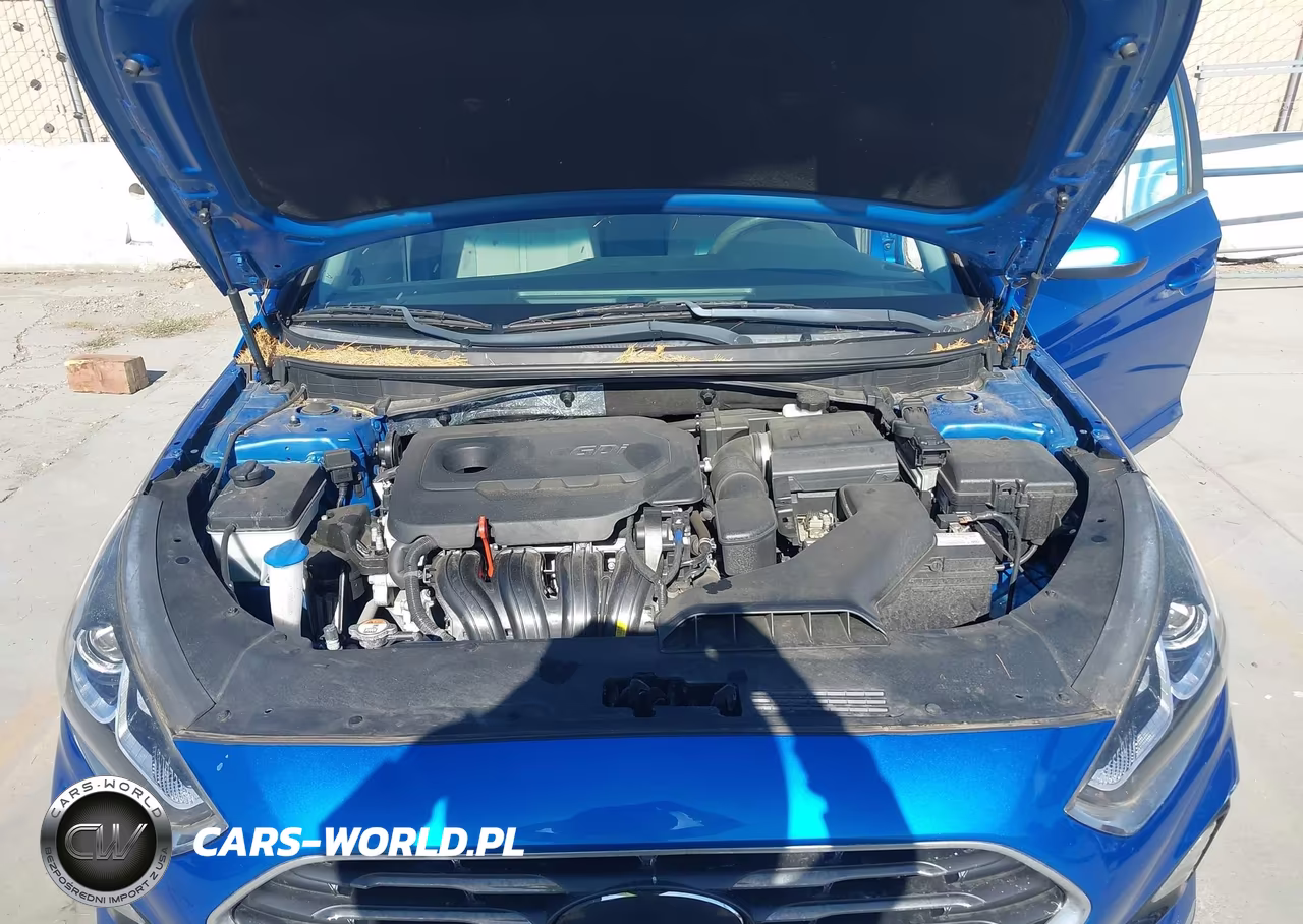 2018 Hyundai Sonata Se VIN:5NPE24AF8JH670068 - 10