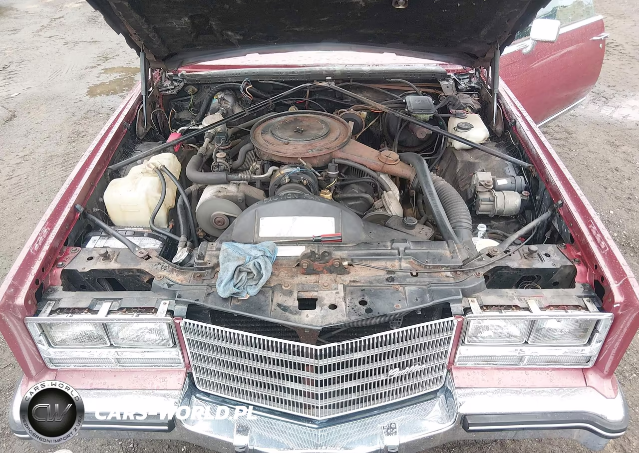 1985 Cadillac Eldorado VIN:1G6EL5787FE663005 - 10