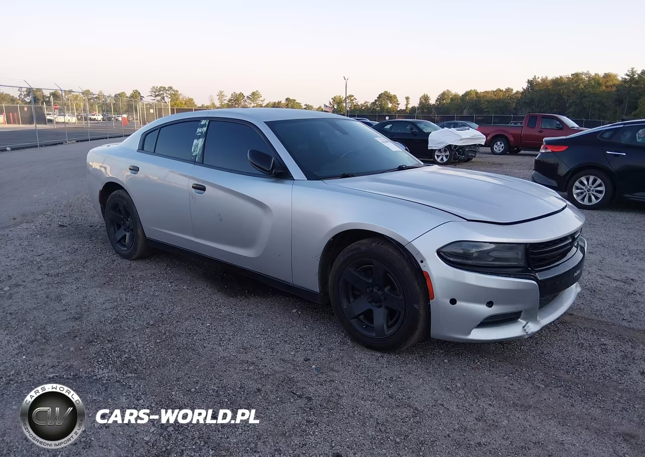 2019 Dodge Charger Police Rwd