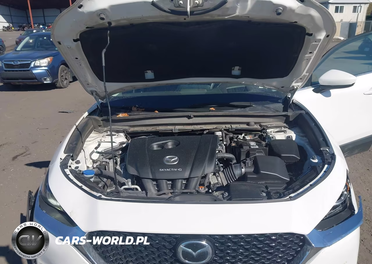 2021 Mazda Cx-30 Premium VIN:3MVDMBDL7MM210618 - 10