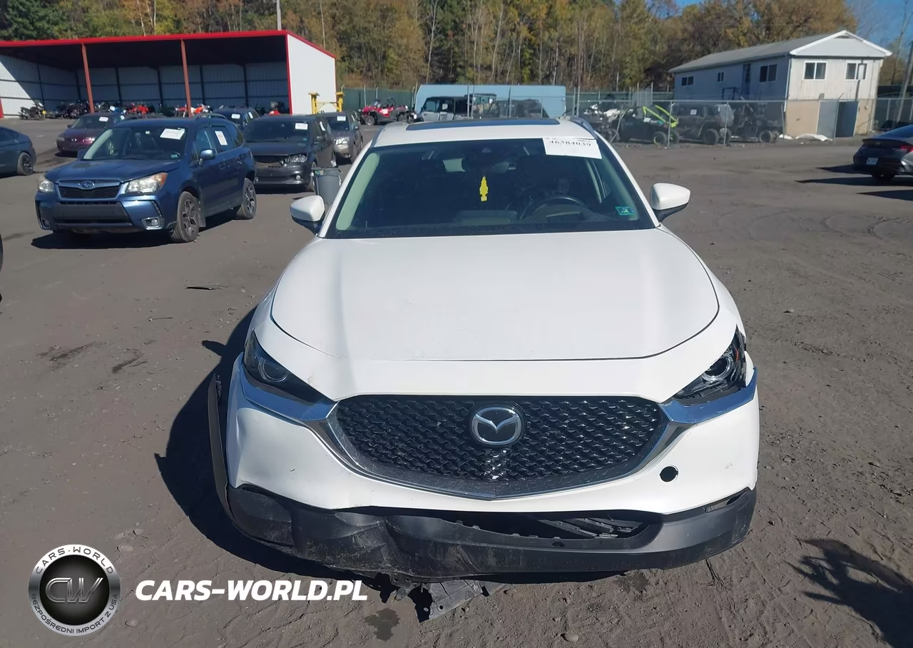 2021 Mazda Cx-30 Premium VIN:3MVDMBDL7MM210618 - 12