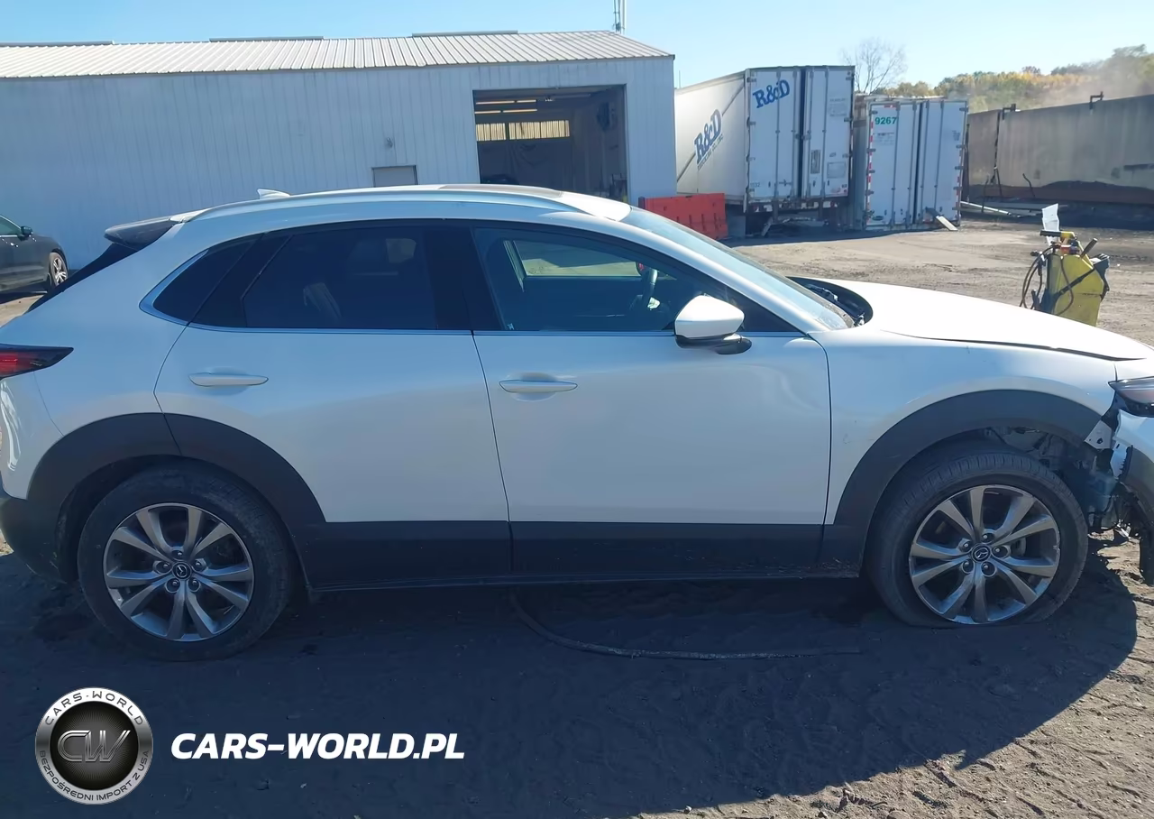 2021 Mazda Cx-30 Premium VIN:3MVDMBDL7MM210618 - 13